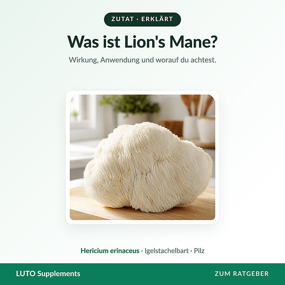 Frischer Lion's-Mane-Pilz