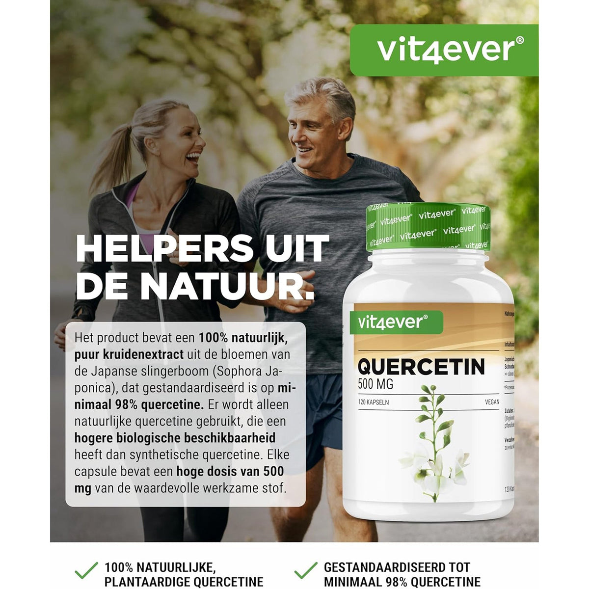Quercetin (Styphnolobium japonicum-Extrakt) 500 mg | 120 Kapseln | Vit4ever