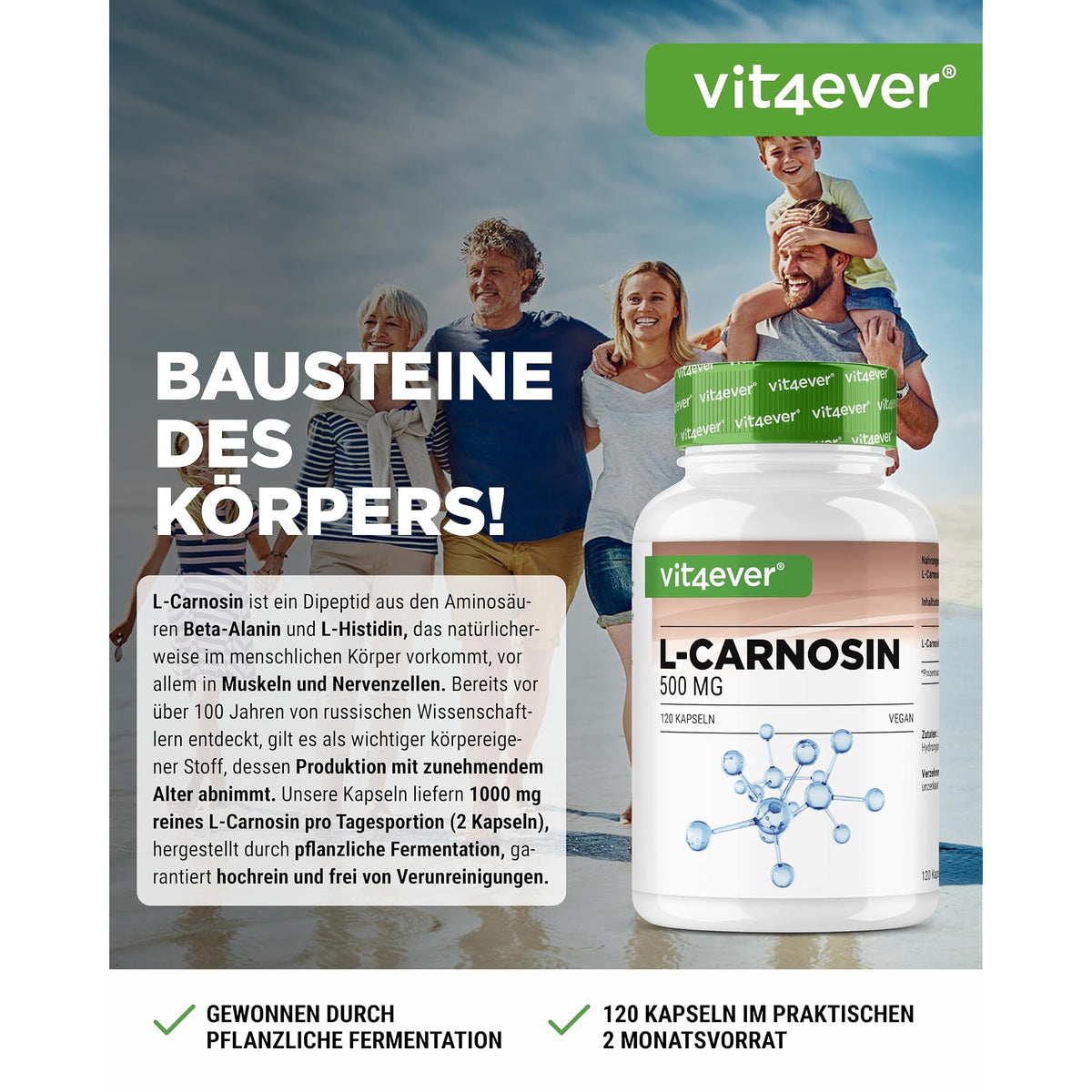 Vit4ever L-Carnosin 500mg 120 Kapseln – Etikett mit Inhaltsstoffen und Dosierung