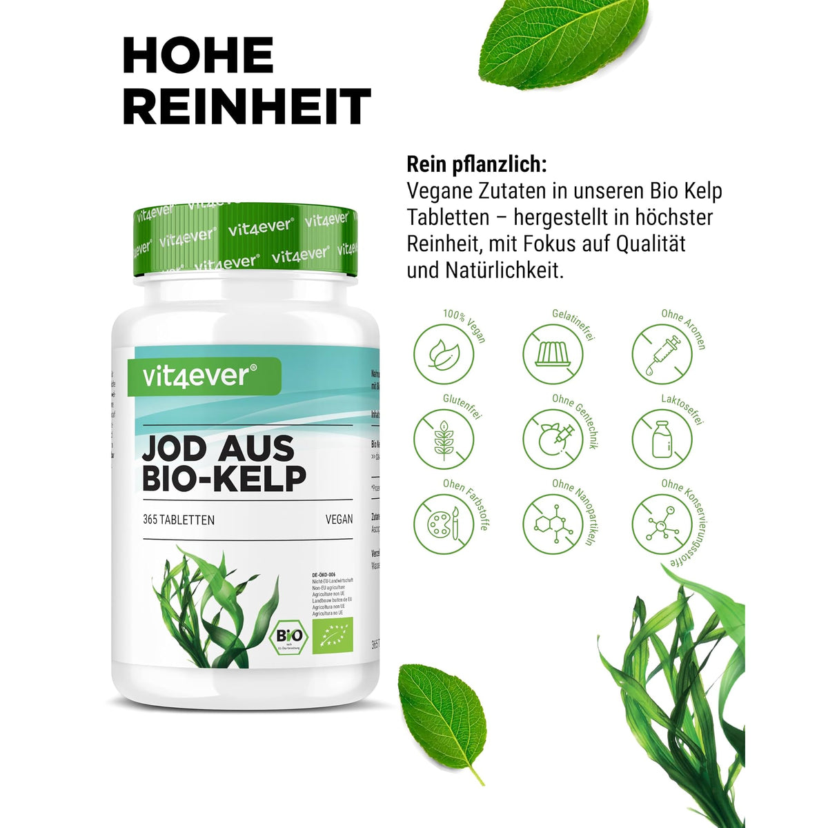 Vit4ever Jod aus Bio Kelp 200 µg 365 Tabletten – Nährwerte und Zutaten auf der Verpackung
