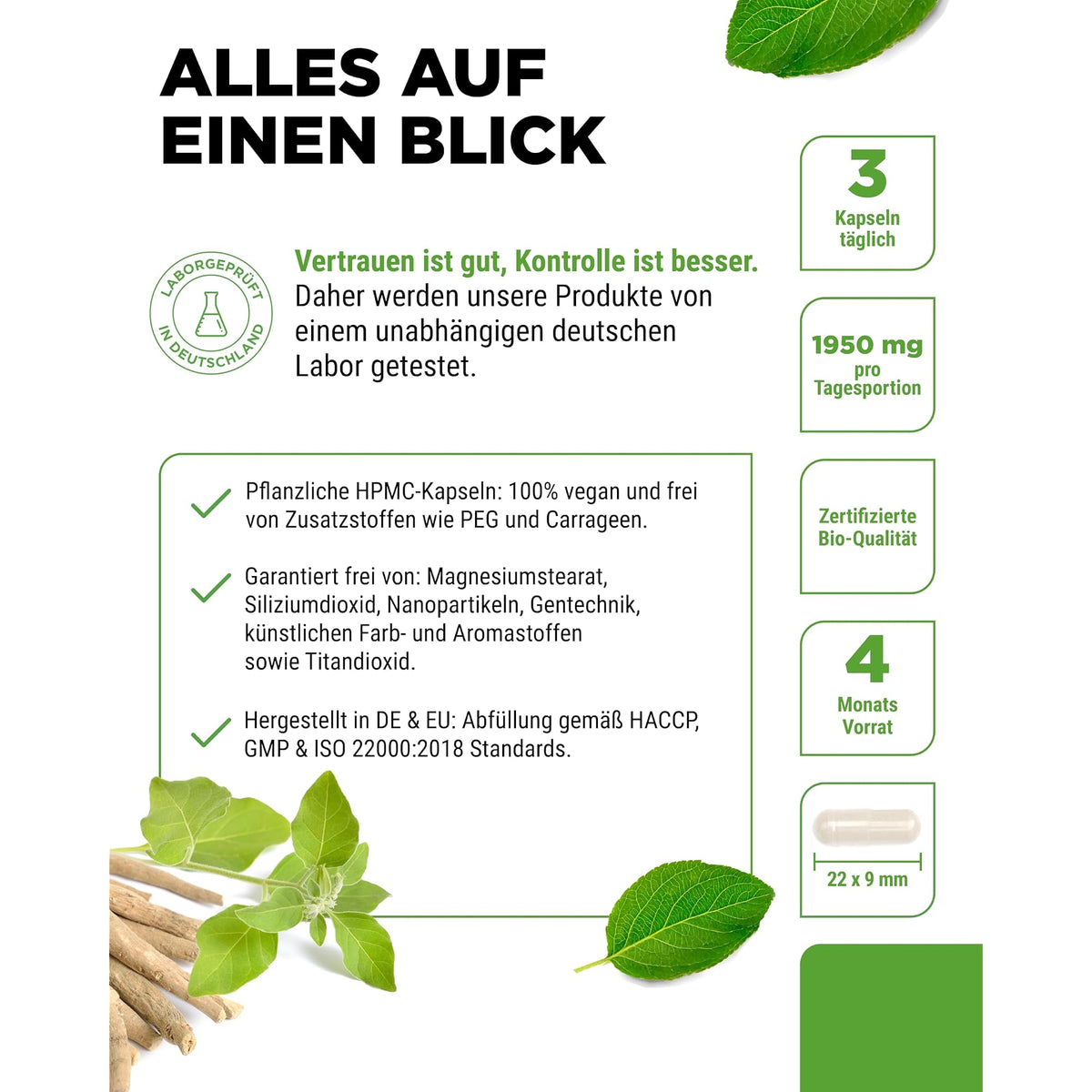 Vit4ever Bio Ashwagandha Wurzelpulver 1950mg 365 Kapseln – Produkt aus der Nähe