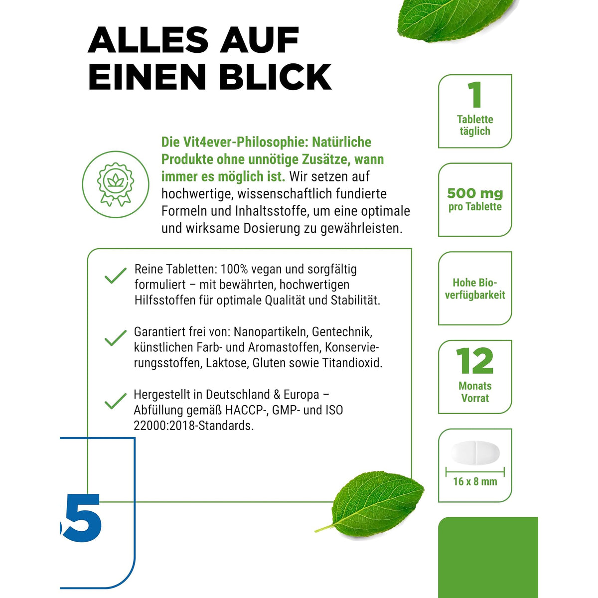 Vit4ever Vitamin B5 (Pantothensäure) 500 mg 365 Tabletten – Produkt aus der Nähe