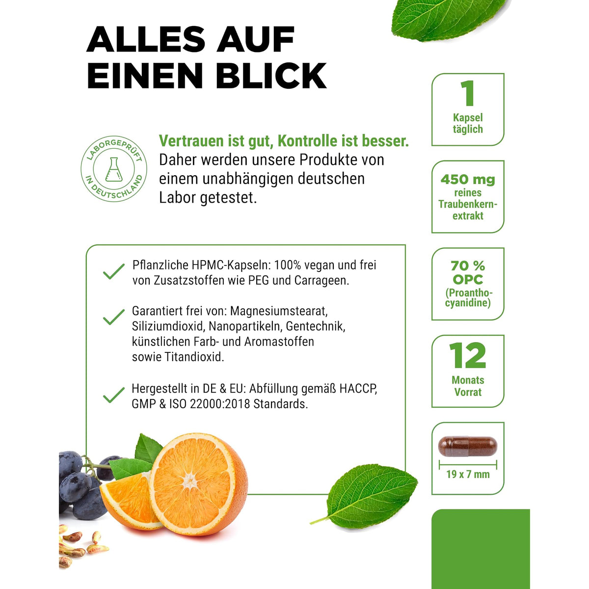 Vit4ever OPC Traubenkernextrakt + Vitamin C 240 & 365 Kapseln – Produkt aus der Nähe