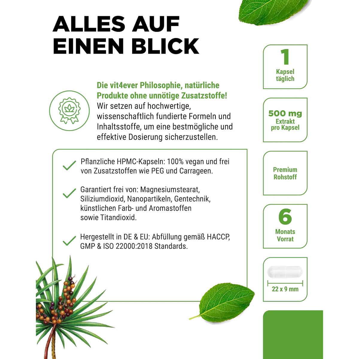 Vit4ever Saw Palmetto Extrakt 500mg 180 Kapseln – Produkt aus der Nähe