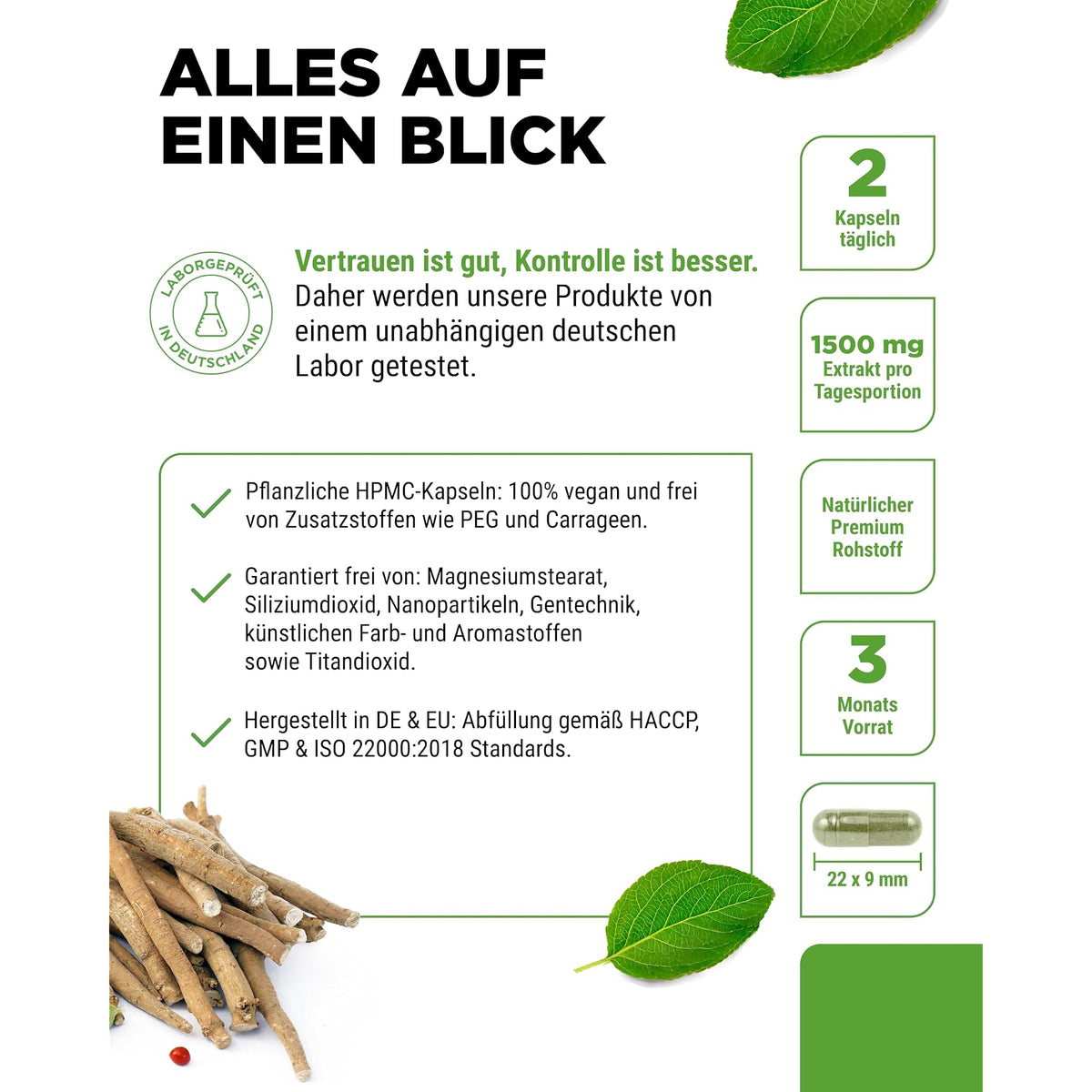 Vit4ever Ashwagandha-Extrakt 1500mg – 10% Withanolide 180 Kapseln – Produkt aus der Nähe