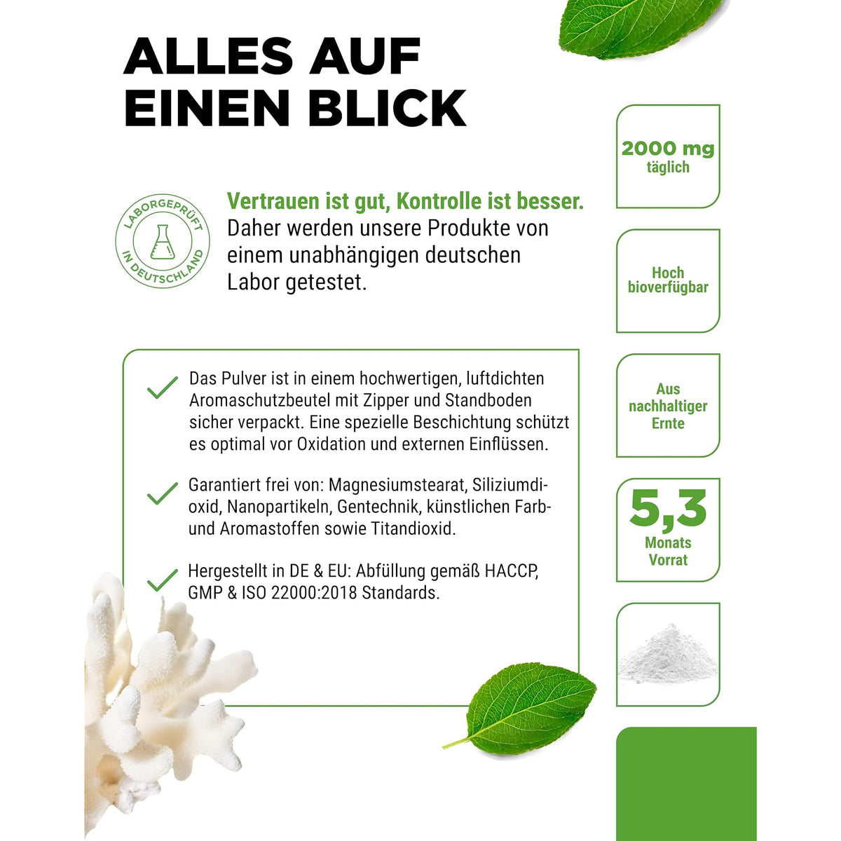 Vit4ever Sango Meereskoralle Pulver 2000mg 320g – Produkt aus der Nähe
