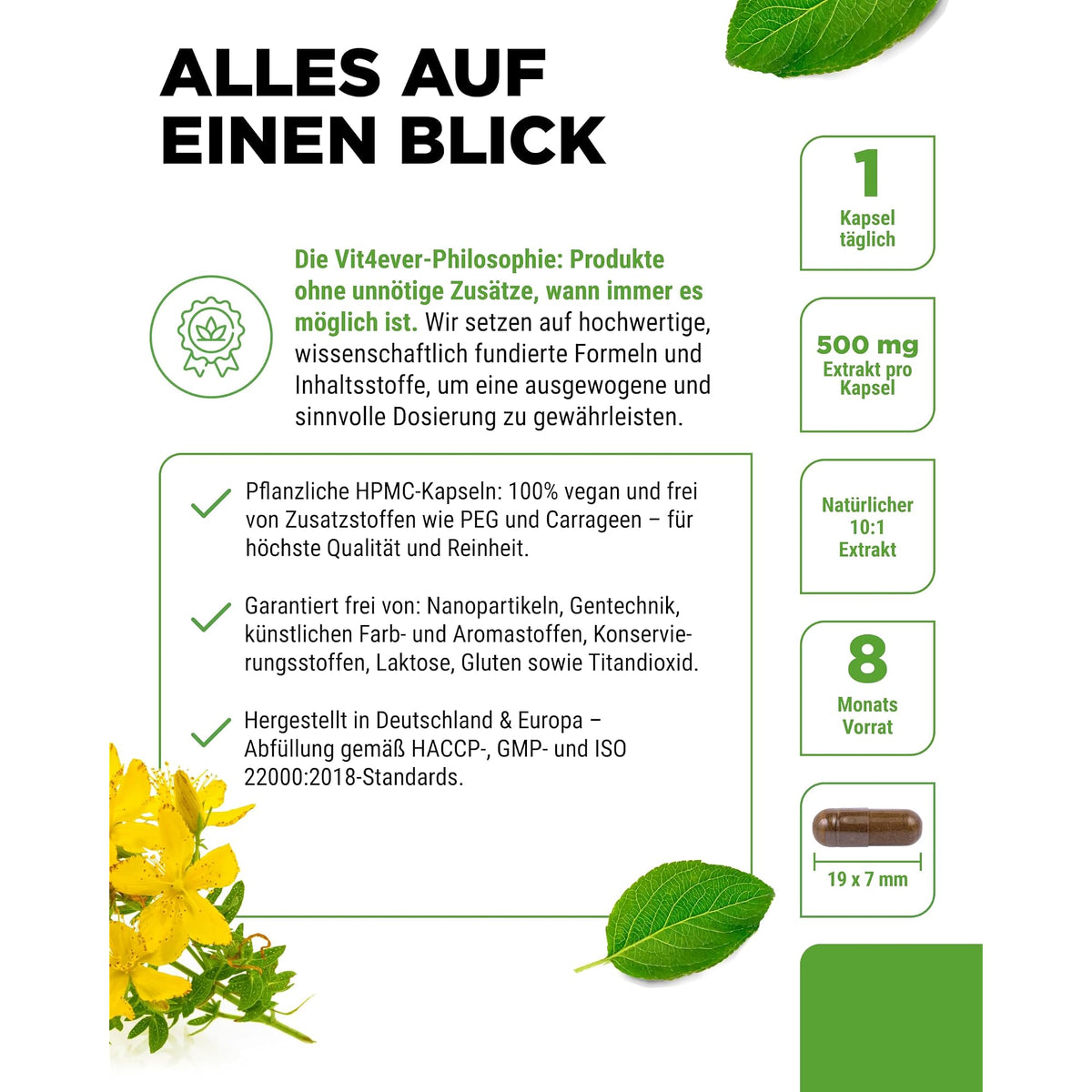 Vit4ever Johanniskraut-Extrakt 500mg 240 Kapseln – Produkt aus der Nähe