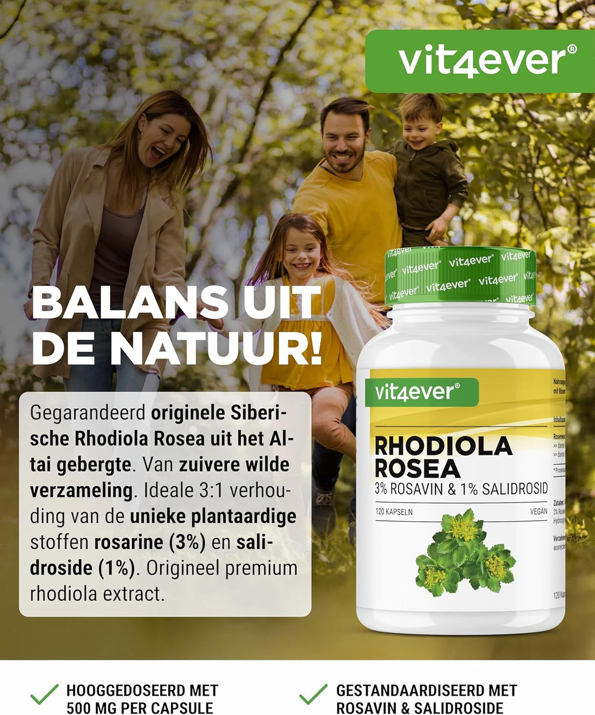 Rhodiola Rosea Extrakt 500 mg | 120 Kapseln | Vit4ever