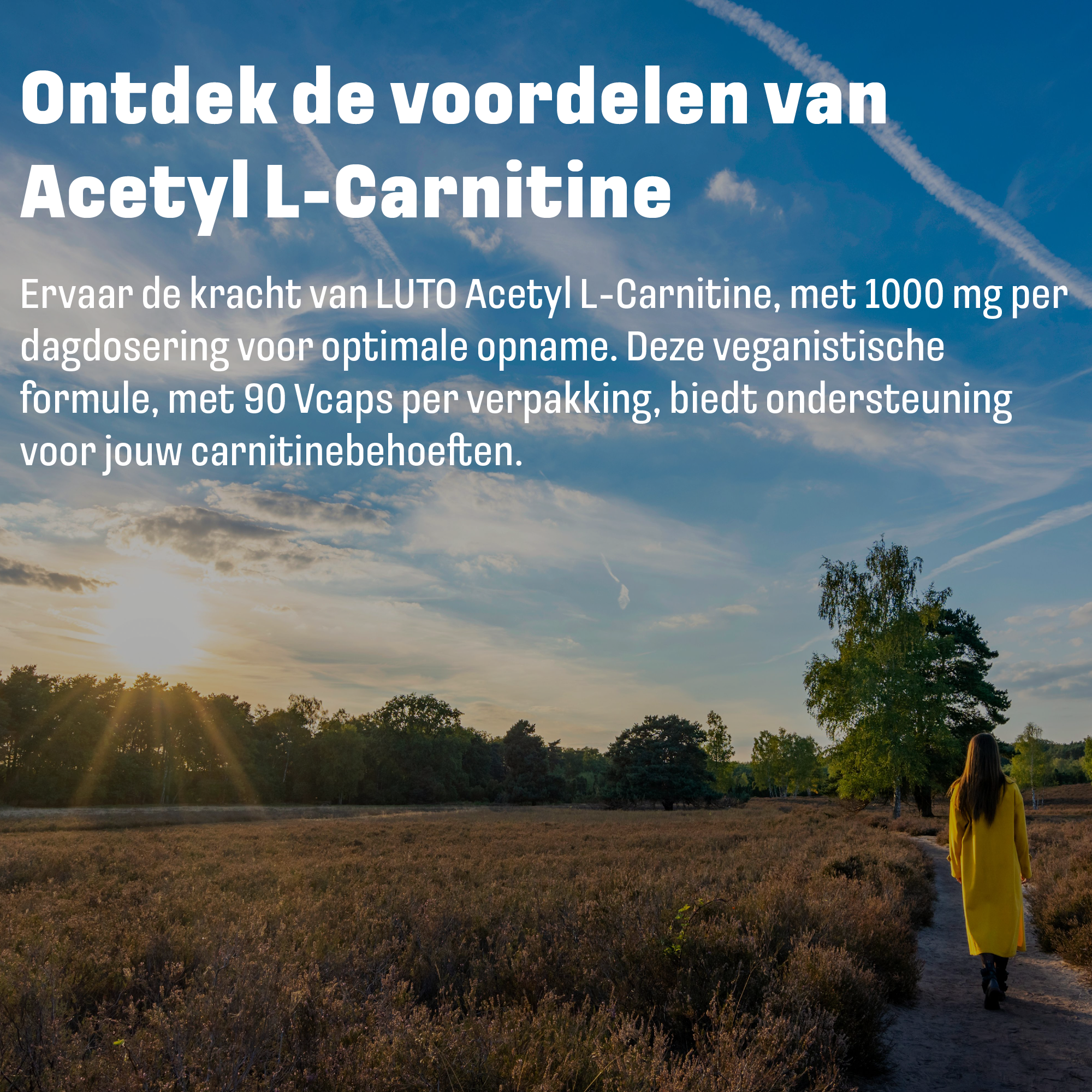 Acetyl L-Carnitin 1000 mg + Vitamin B12 | 90 pflanzliche Kapseln | LUTO Supplements