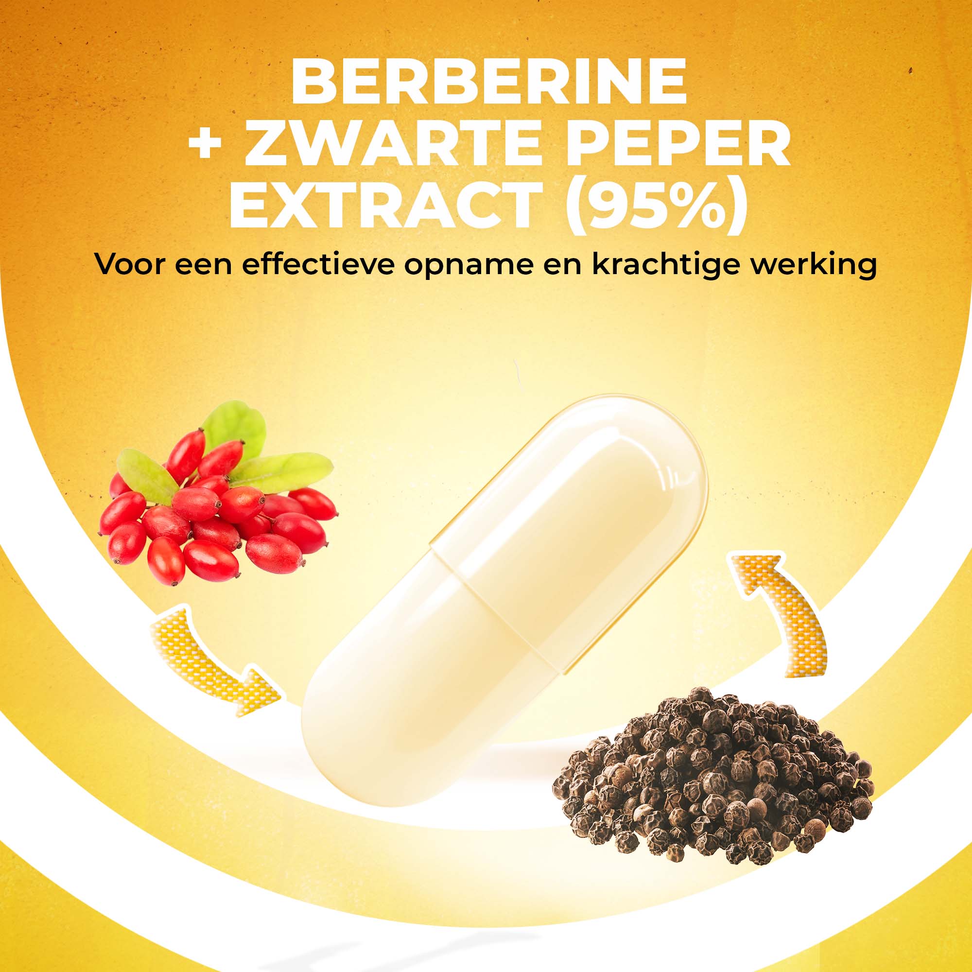 LUTO Berberine met 95% zwarte peper extract voor effectieve opname - krachtige werking per capsule