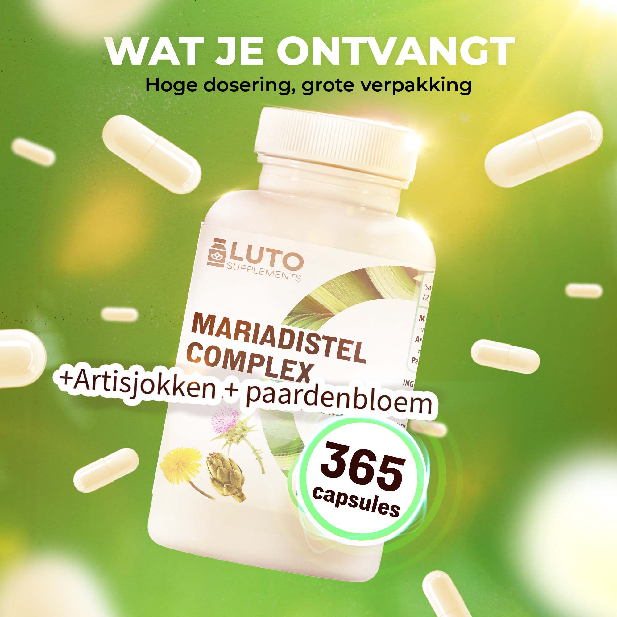 Mariendistel Komplex | 365 Kapseln | LUTO Supplements