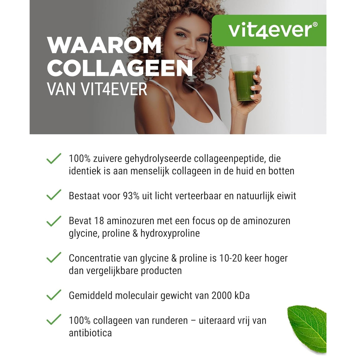 Rinderkollagen Hydrolysat Peptide Pulver | Typ I & III | Vit4ever