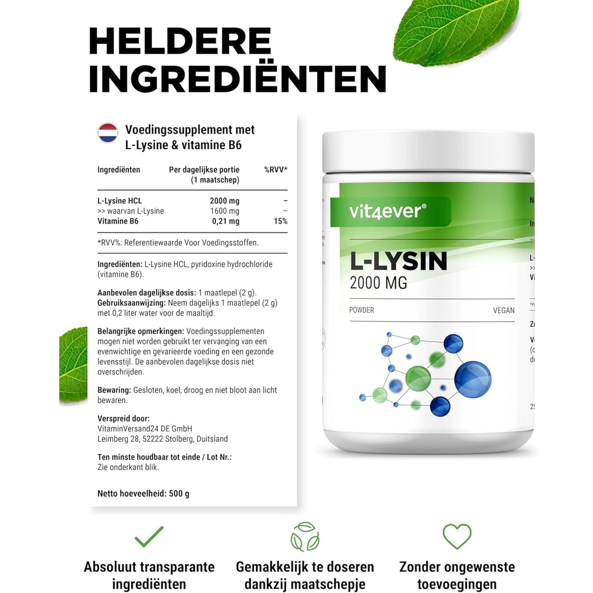 L-Lysin + Vitamin B6 Pulver | 500 g | Vit4ever