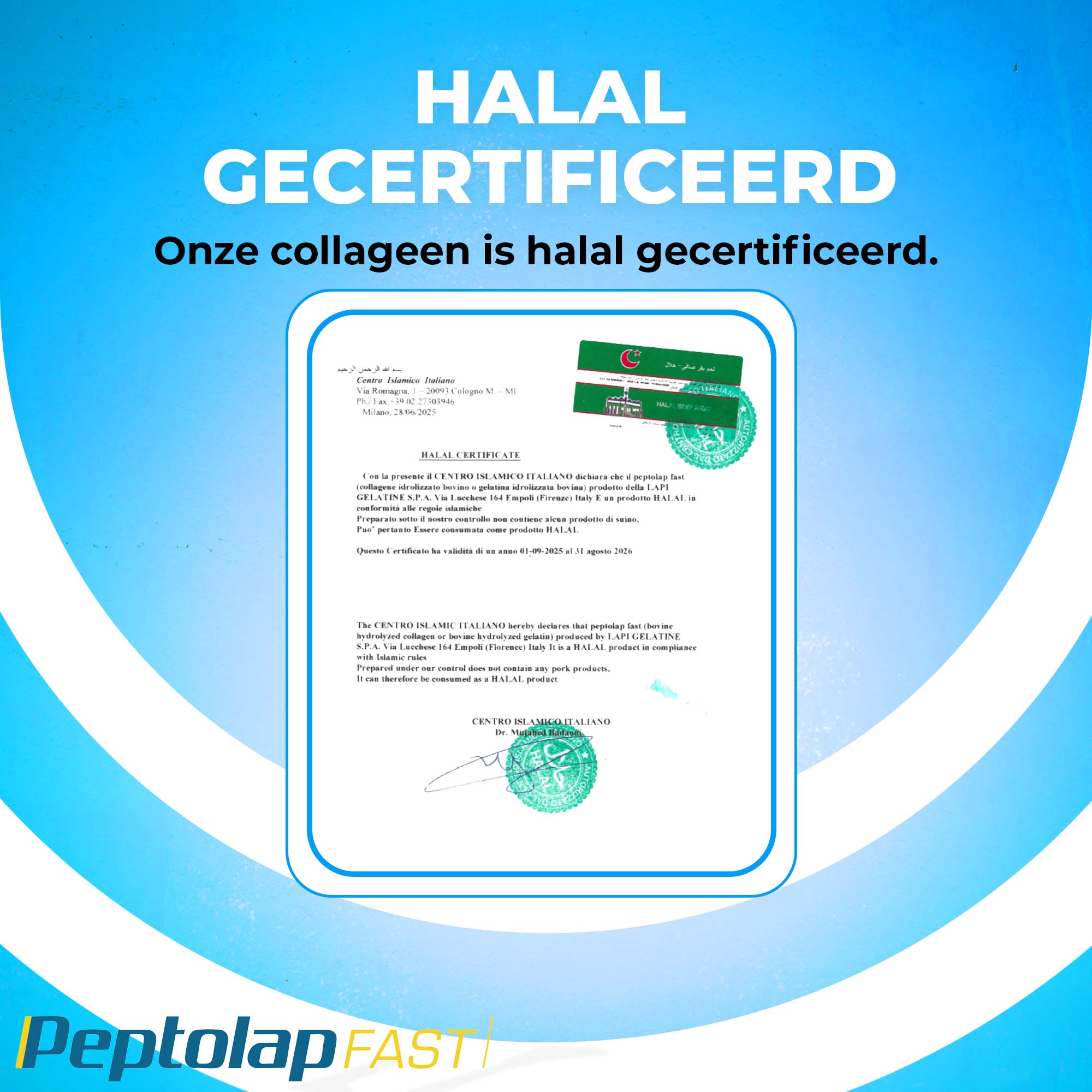 Peptolap Fast hydrolysiertes Halal Kollagenpulver Typ I & III | 500 g | LUTO Supplements