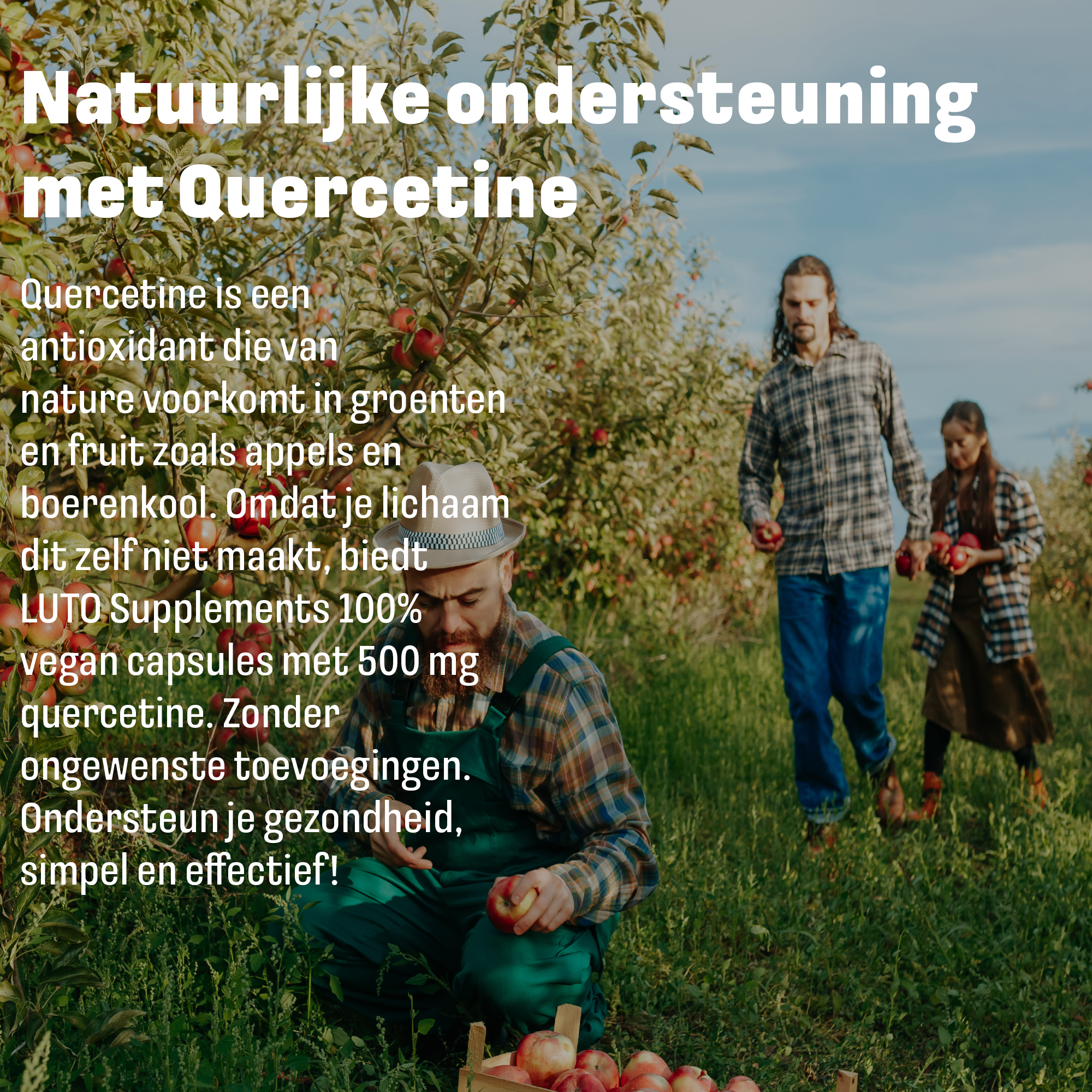 LUTO Quercetine Zink Selenium capsules voor antioxidanten ondersteuning en immuunsysteem ondersteuning