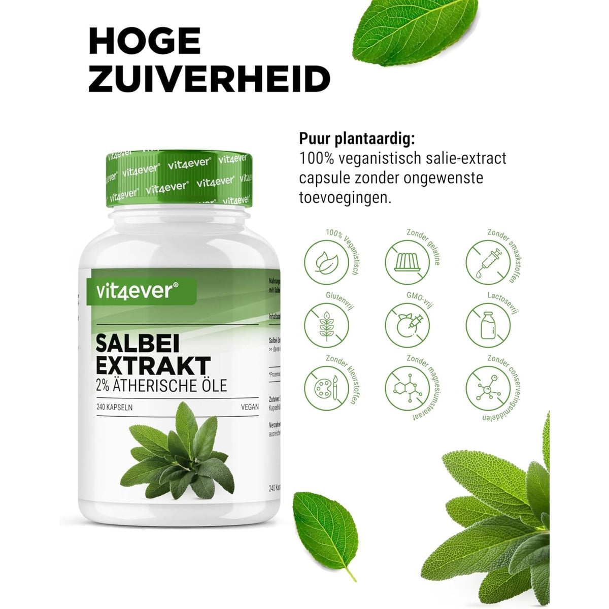 Salbei-Extrakt 10:1 | 240 Kapseln | Vit4ever