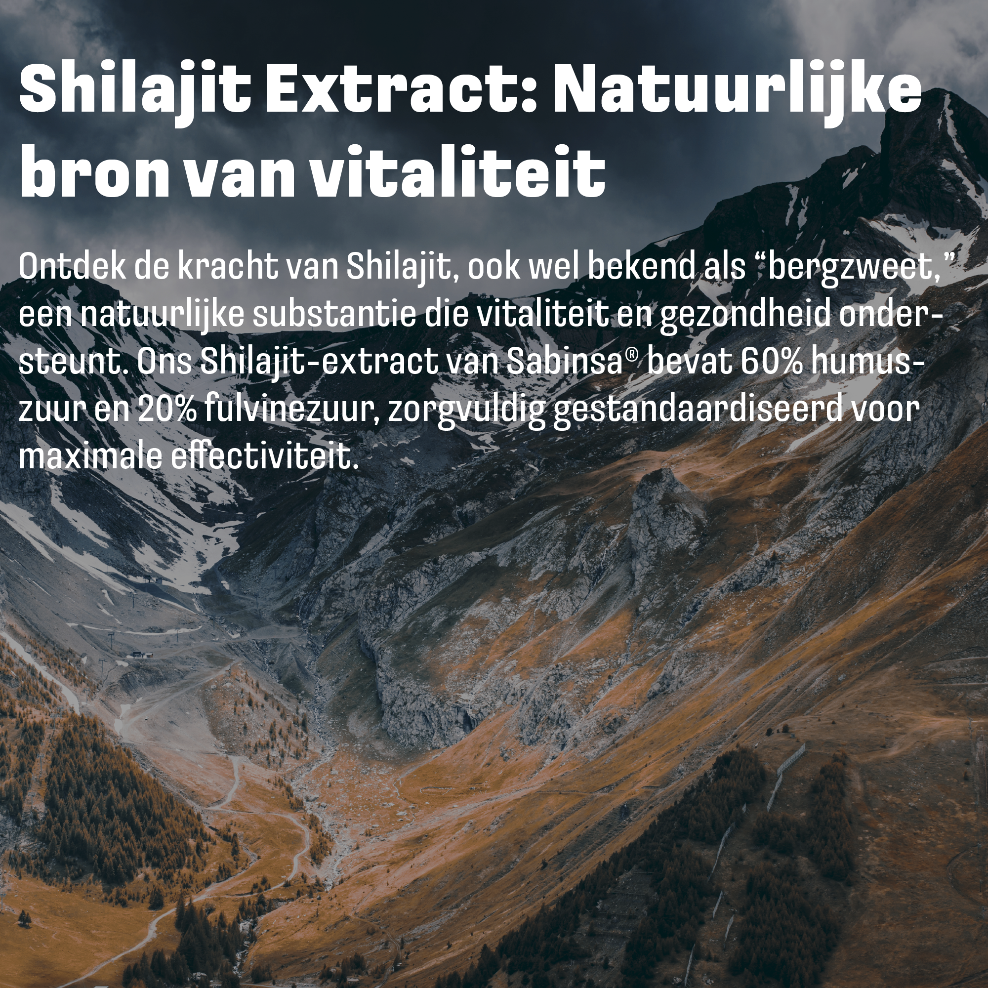 Shilajit mit Selen | 60 Kapseln | LUTO Supplements