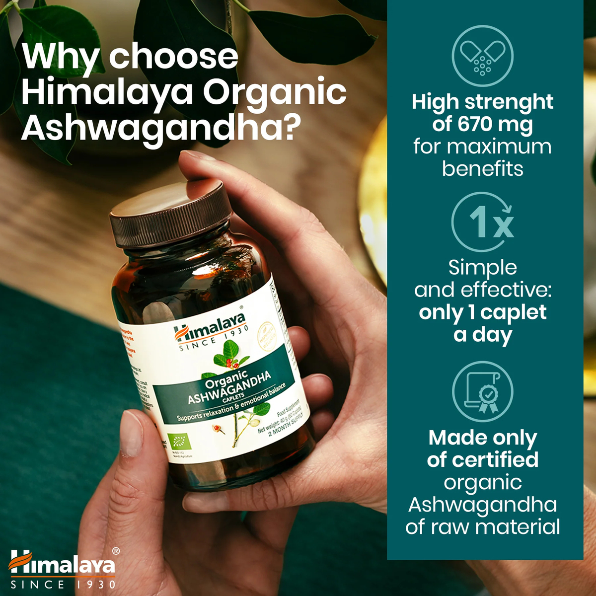 Bio Ashwagandha 670mg | 60 Tabletten | Himalaya
