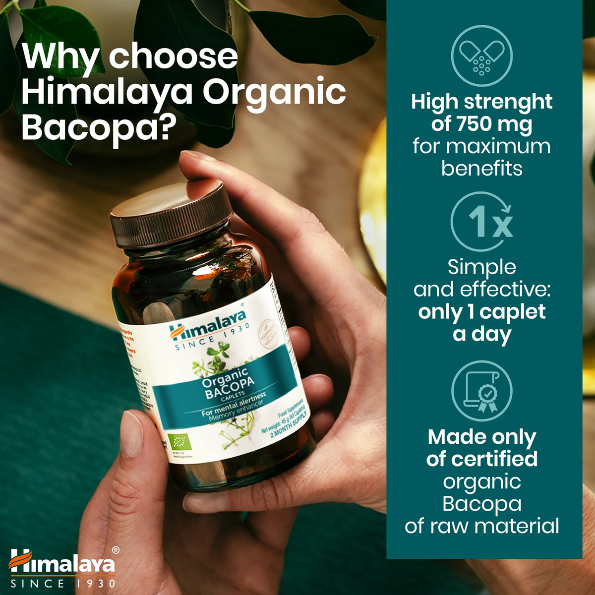 Organic Bacopa 750mg | 60 Tabletten | Himalaya