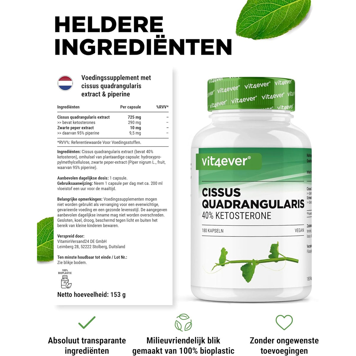 Cissus Quadrangularis Extrakt | 40% Ketosteron | Vit4ever