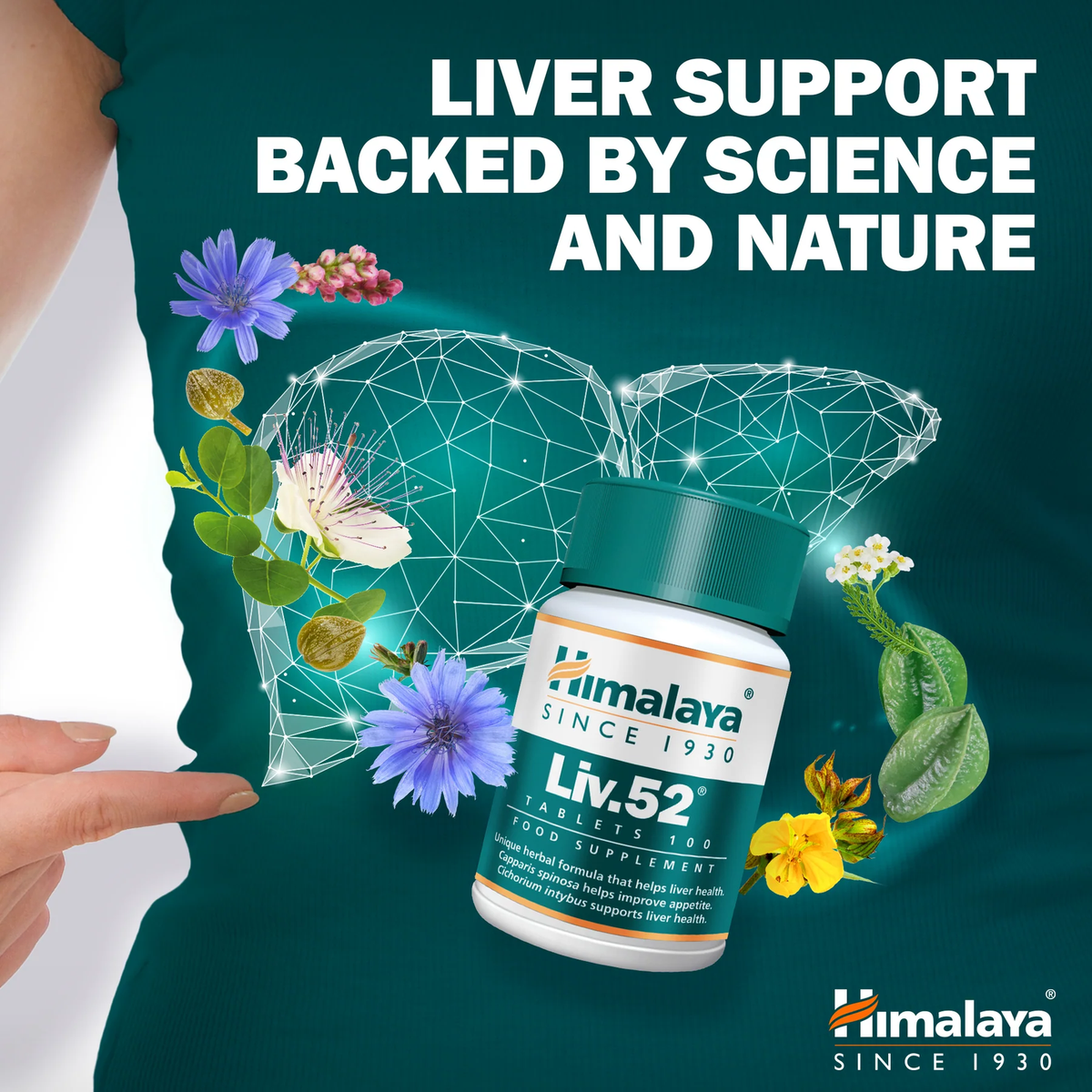 Liv.52 | 100 Tabletten | Himalaya