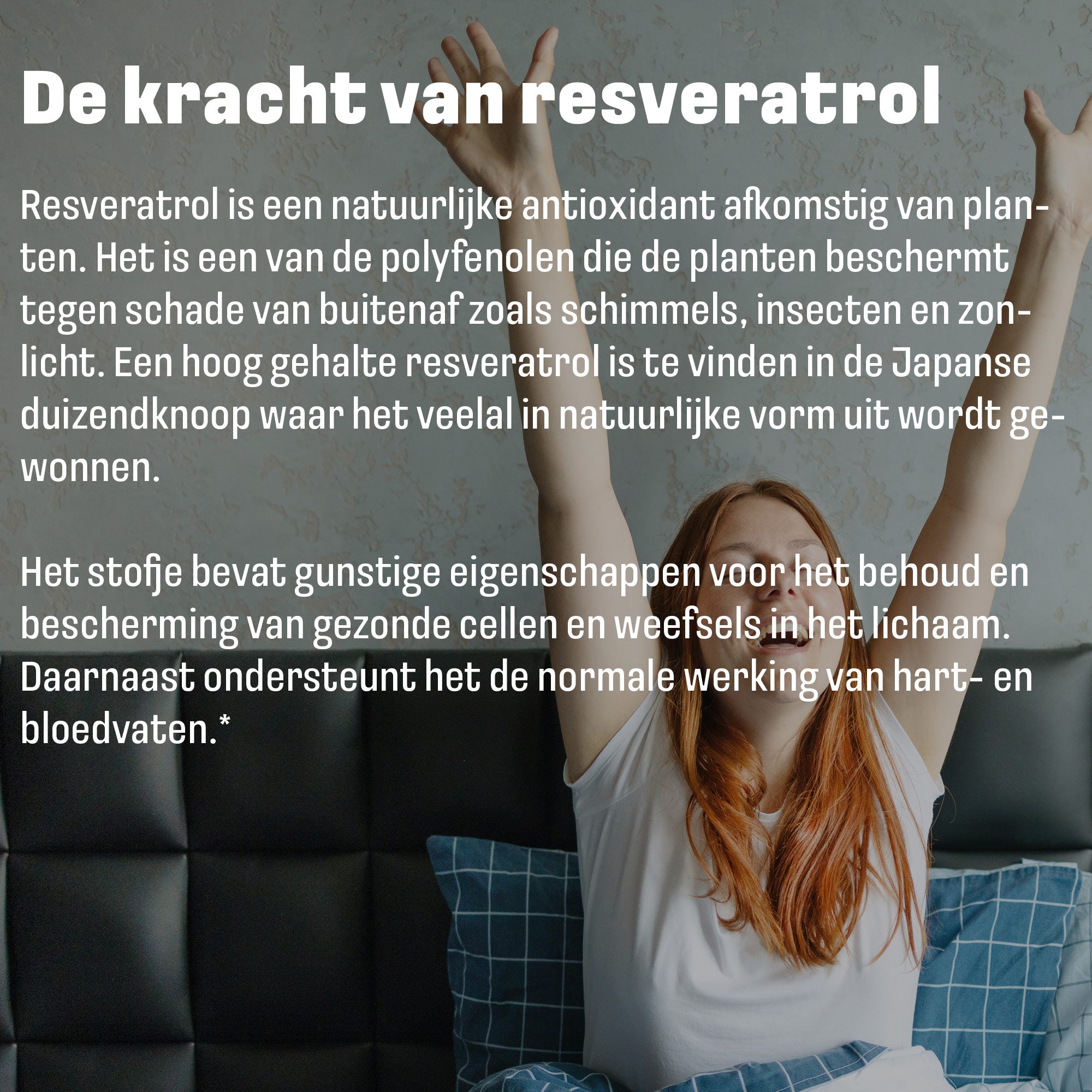 LUTO Resveratrol capsules voor antioxidanten ondersteuning - plantaardig supplement voor dagelijks gebruik
