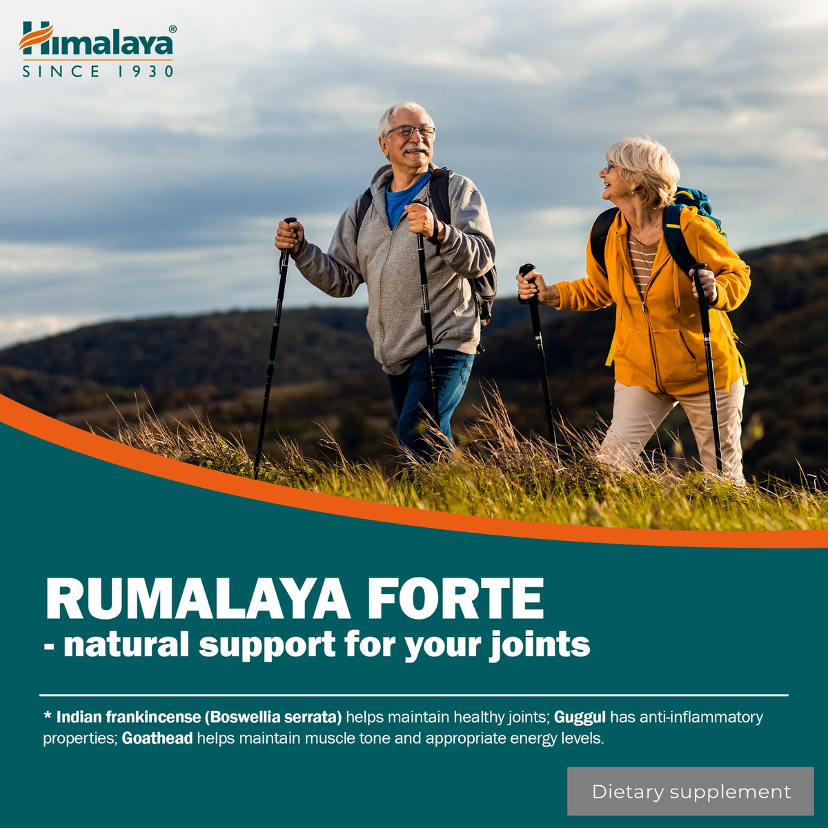 Rumalaya Forte | 60 Tabletten | Himalaya