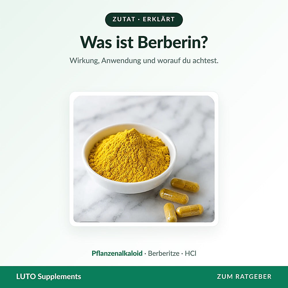 Berberin Kapseln und gelbes Pulver