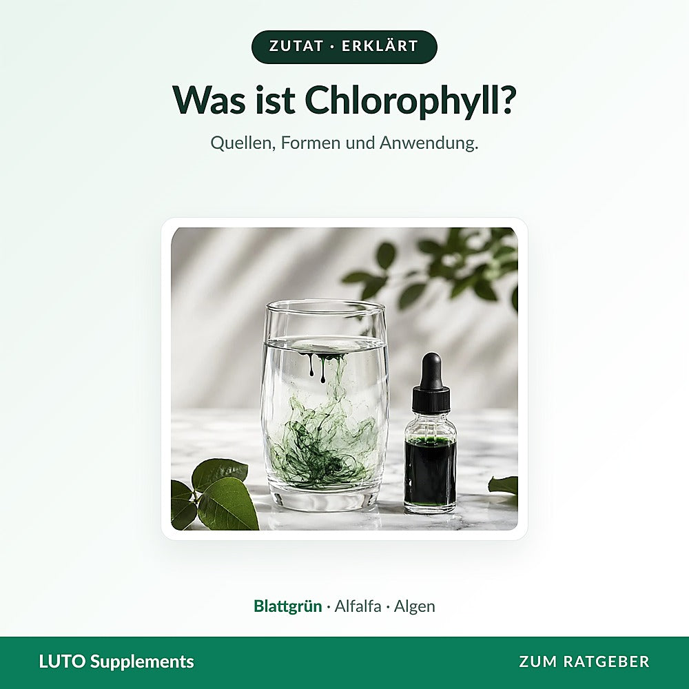 Grüne Chlorophyll-Tropfen in einem Glas Wasser