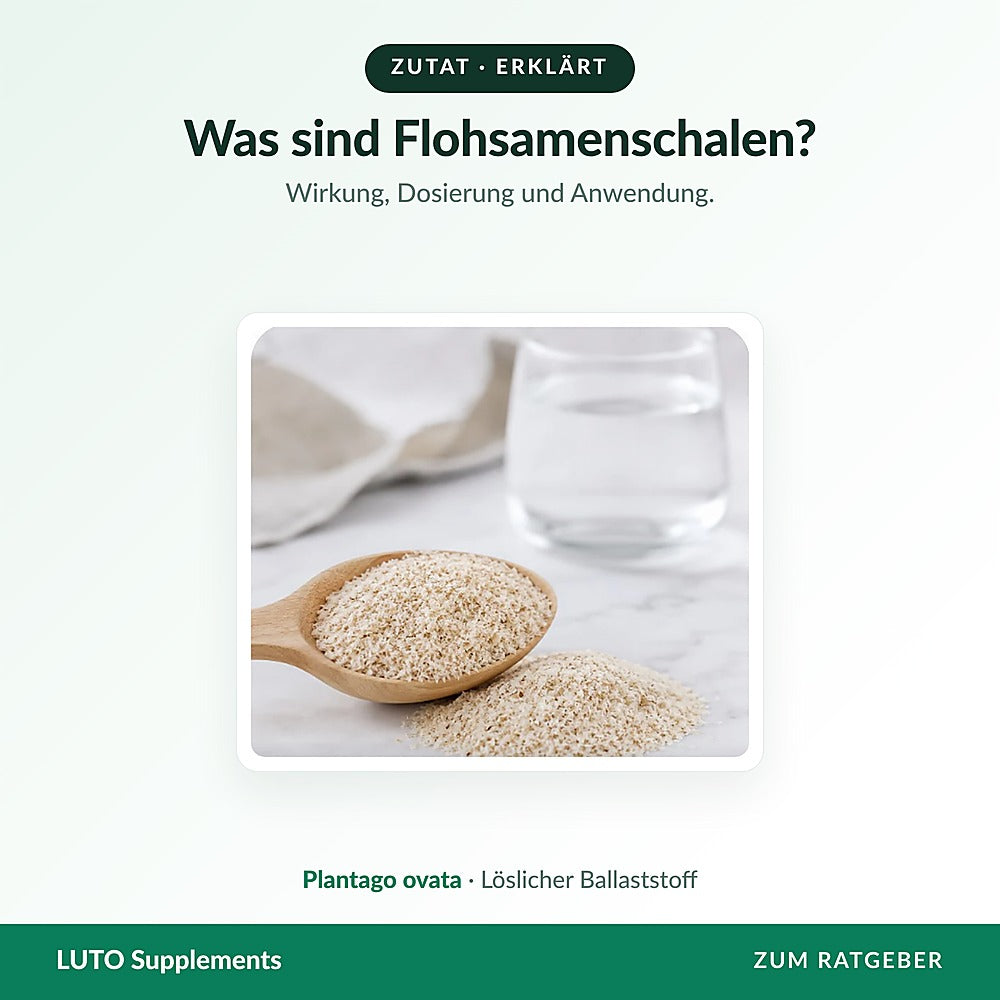 Flohsamenschalen Psyllium Husk in einem Holzlöffel