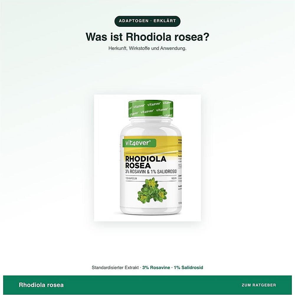 Was ist Rhodiola rosea? Standardisierter Rhodiola-Extrakt mit Rosavinen und Salidrosid