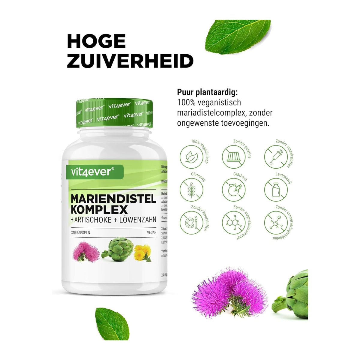 Mariendistel Artischocke Löwenzahn Komplex | Vit4ever