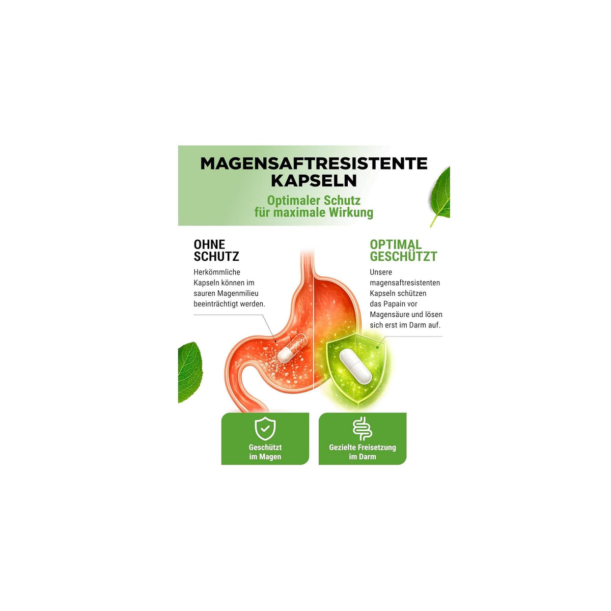 Vit4ever Probiotika Komplex (Probio 25) 25 Bakterienstämme + Bio-Inulin 180 Kapseln – Nährwerte und Zutaten auf der Verpackung