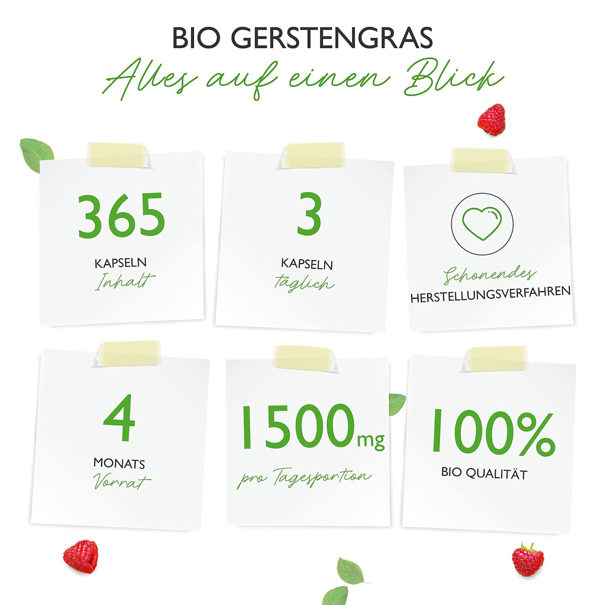 Vit4ever Bio Gerstengras 365 Kapseln – Etikett mit Inhaltsstoffen und Dosierung