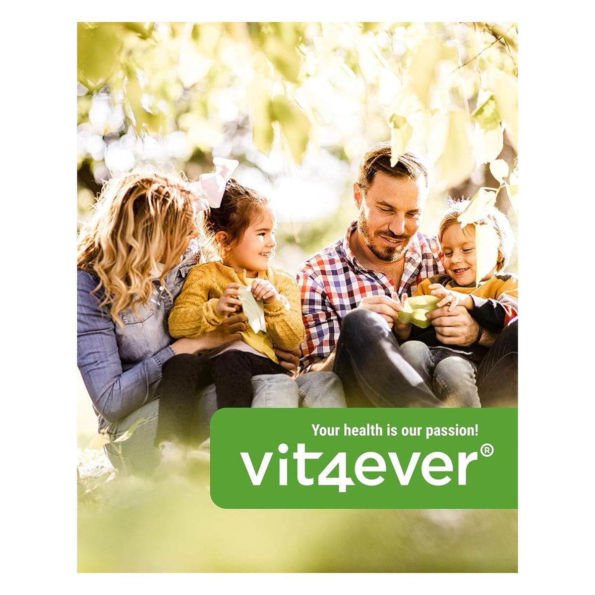 Mariendistel Artischocke Löwenzahn Komplex | Vit4ever