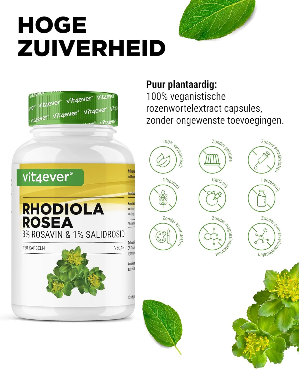 Rhodiola Rosea Extrakt 500 mg | 120 Kapseln | Vit4ever