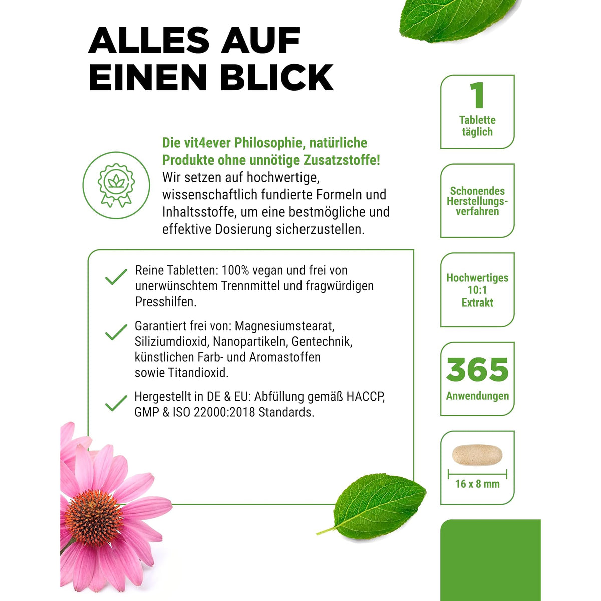 Vit4ever Echinacea Purpurea 500 mg 365 Tabletten – Produkt aus der Nähe