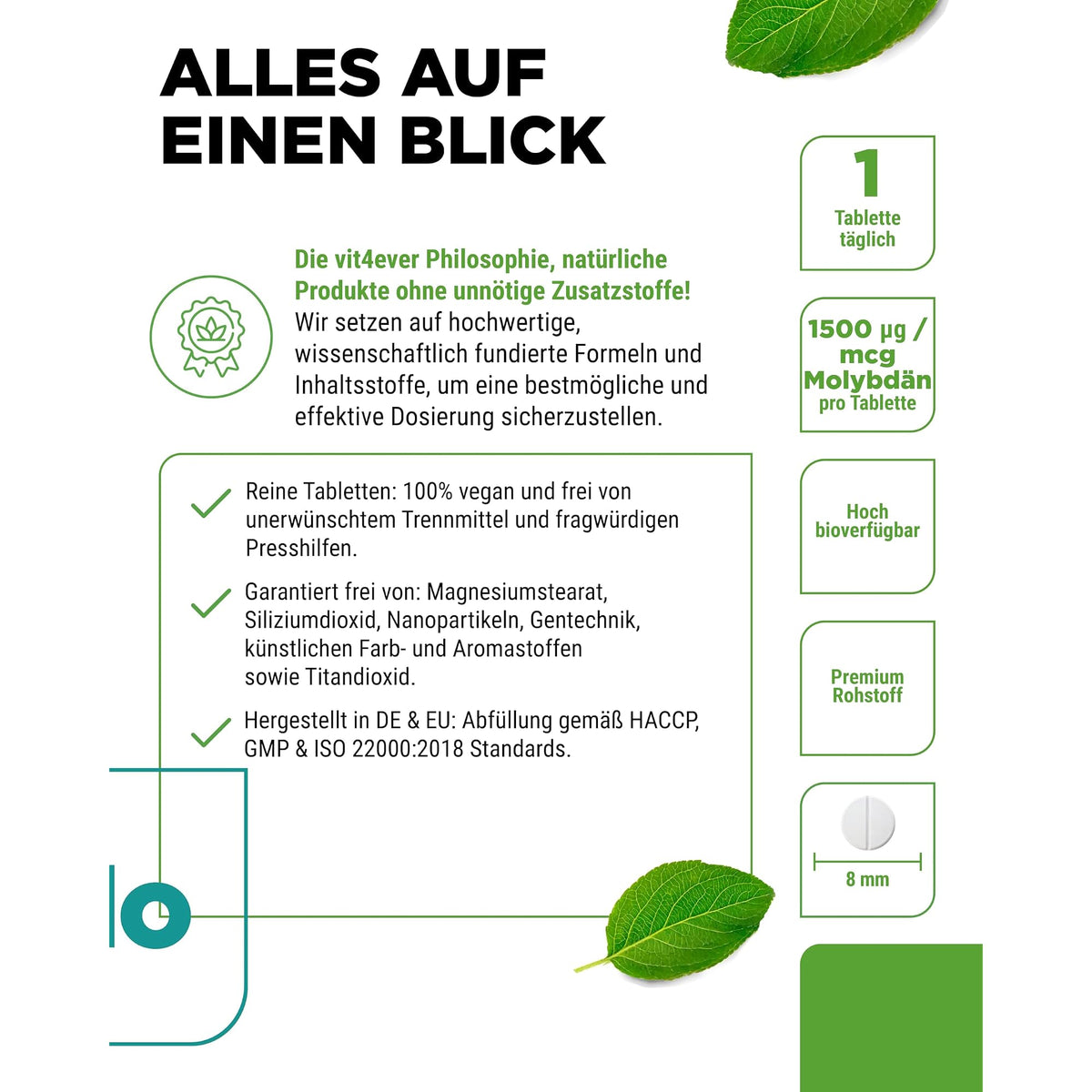 Vit4ever Molybdän 150 µg 365 Tabletten – Produkt aus der Nähe