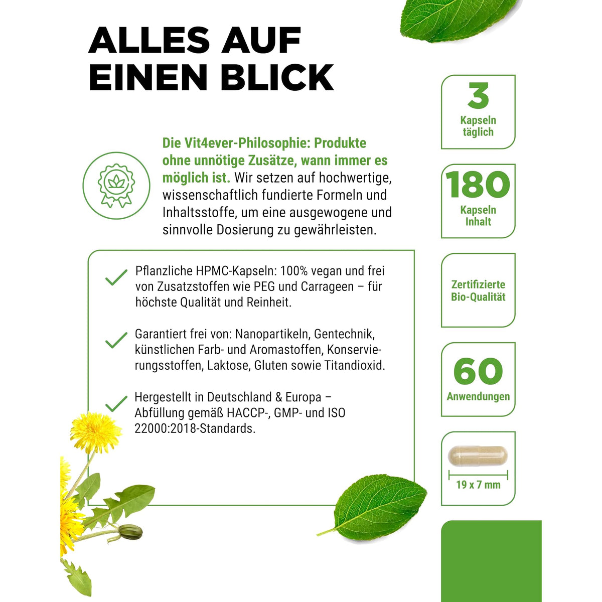 Vit4ever Bio Löwenzahnwurzel-Extrakt 10:1 240 Kapseln – Produkt aus der Nähe