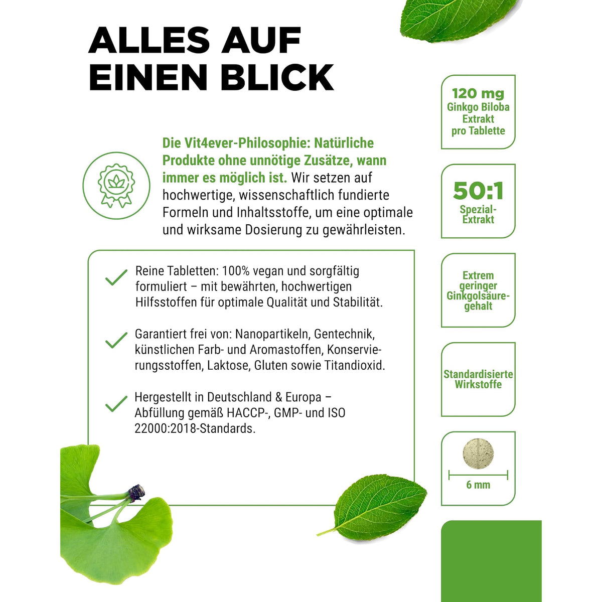 Vit4ever Ginkgo Biloba 50:1 Extrakt 365 Tabletten – Produkt aus der Nähe