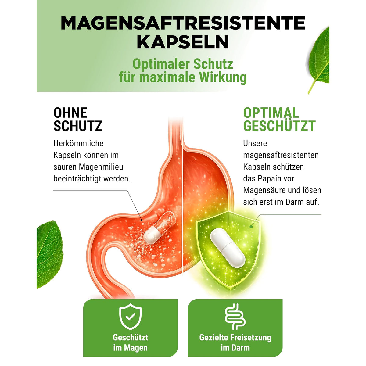 Vit4ever Papaya Enzym 180 Kapseln – Nährwerte und Zutaten auf der Verpackung