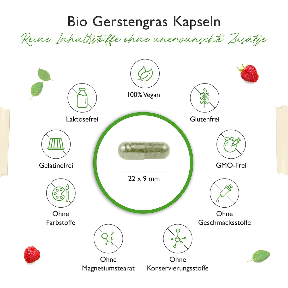 Vit4ever Bio Gerstengras 365 Kapseln – Produkt aus der Nähe