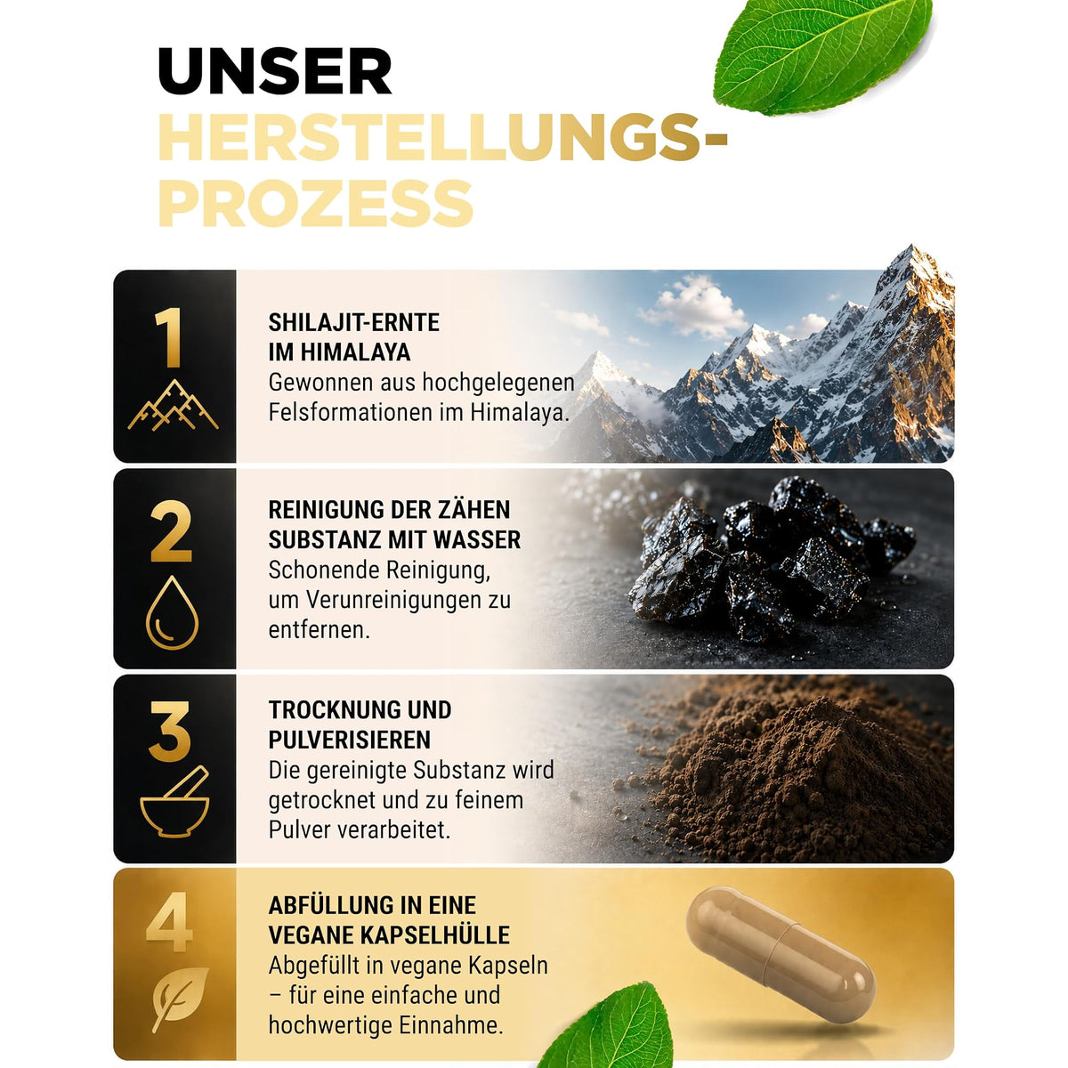 Vit4ever Shilajit Mumijo Extrakt 1500mg 180 Kapseln – Nährwerte und Zutaten auf der Verpackung