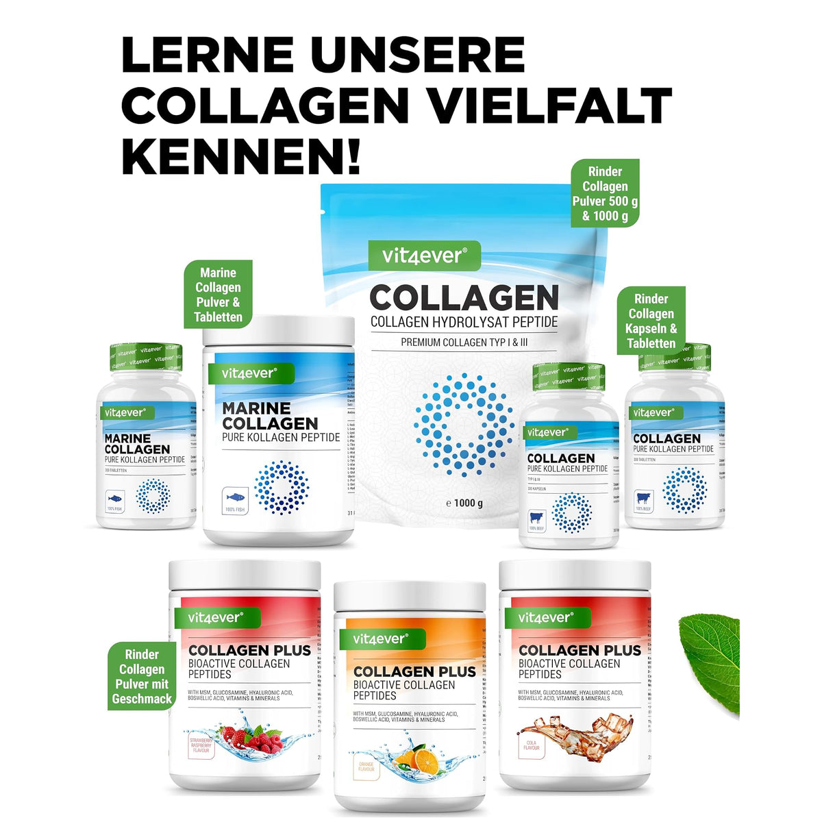 Vit4ever Rinderkollagen 4500 mg 300 Kapseln – empfohlene Anwendung und Einnahme