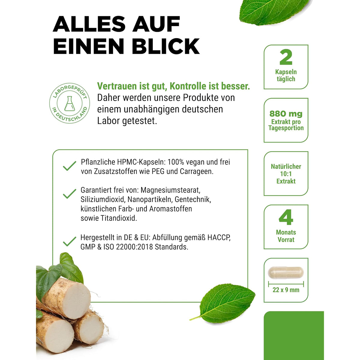 Vit4ever Mexikanischer Wild Yam Wurzelextrakt 20% Diosgenin 240 Kapseln – Produkt aus der Nähe
