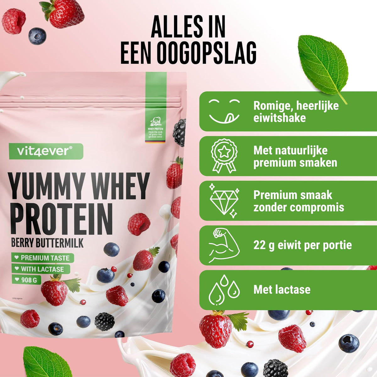 Yummy Whey Protein Berry Buttermilk | 908 g | Vit4ever