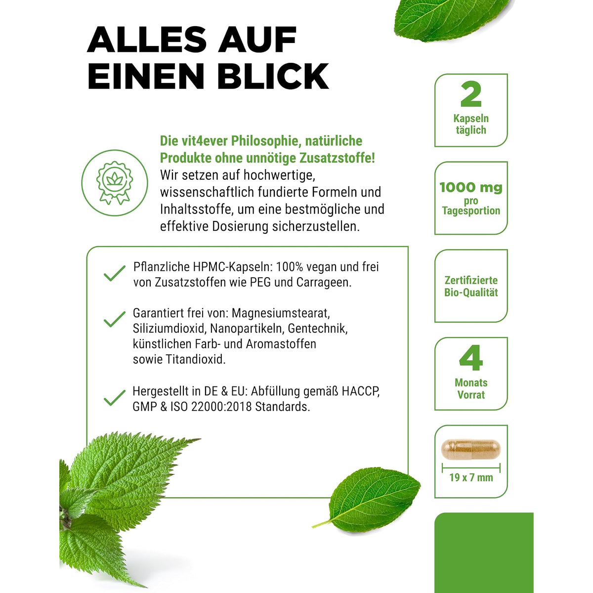 Vit4ever Bio Brennnessel-Extrakt 10:1 240 Kapseln – Produkt aus der Nähe
