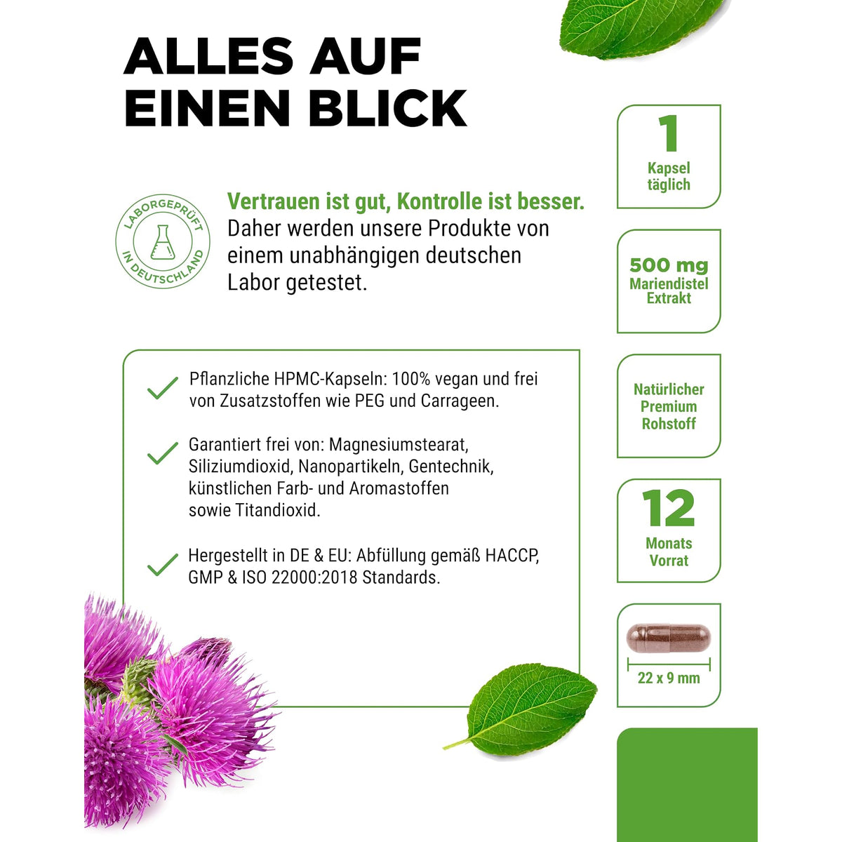 Vit4ever Mariendistelextrakt (80% Silymarin) 500mg 180 & 365 Kapseln – Produkt aus der Nähe
