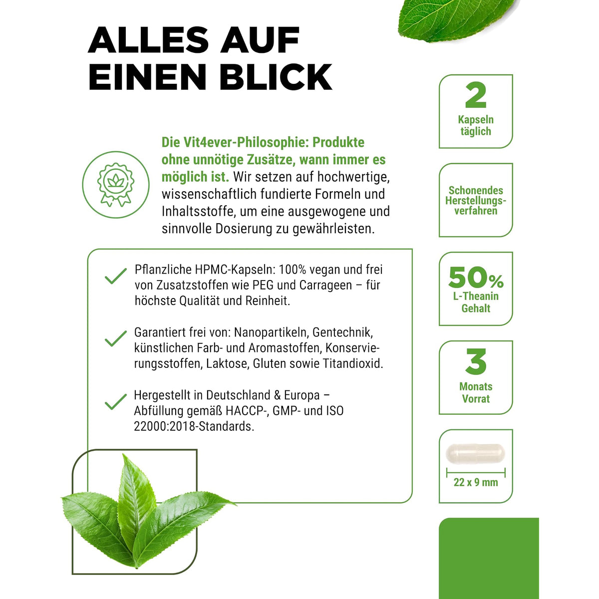 Vit4ever L-Theanin 750mg 180 Kapseln – Produkt aus der Nähe
