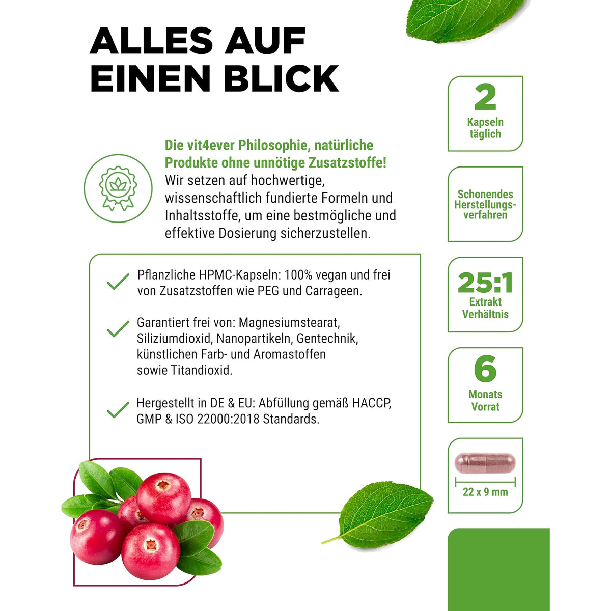 Vit4ever Cranberry-Extrakt 6% Proanthocyanidine 365 Kapseln – Produkt aus der Nähe